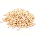 Pijnboompitten 900 gr