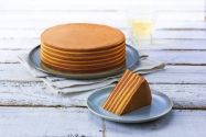 Spekkoek Mango & Passievrucht 4x570 gram